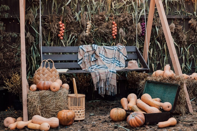 Belle cour confortable avec des légumes et des citrouilles de fleurs d'automne