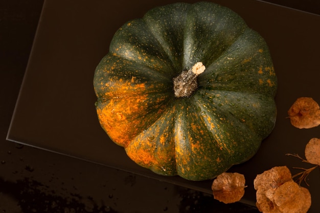 Belle décoration de citrouille mûre pour Thanksgiving sur fond de pierre brune Vue de dessus