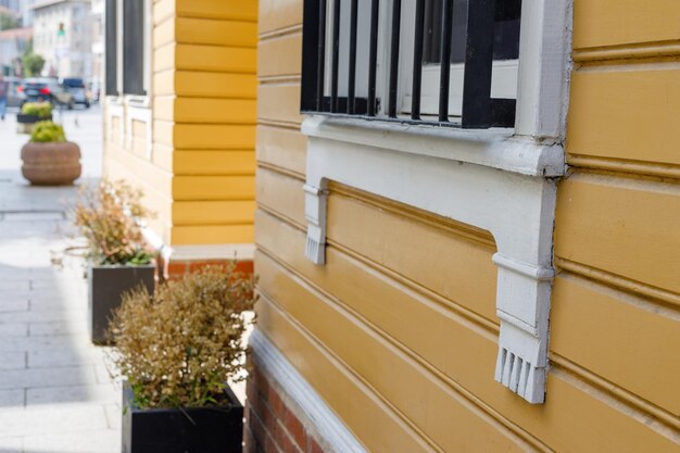 Photo belle décoration des détails de la façade de la maison avec des fleurs et des couleurs