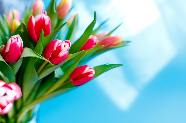 Belle disposition de bordure florale de bouquet de tulipes pour la carte de voeux de fête des mères de vacances de printemps