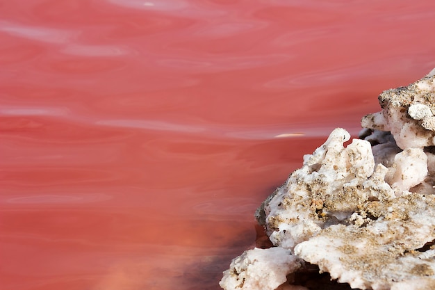 Photo belle eau rouge et sel du lac