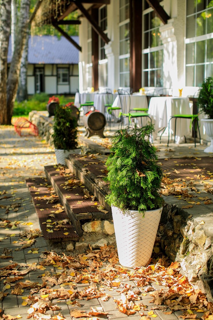 Photo une belle entrée d'une maison de luxe sur paysage extérieur