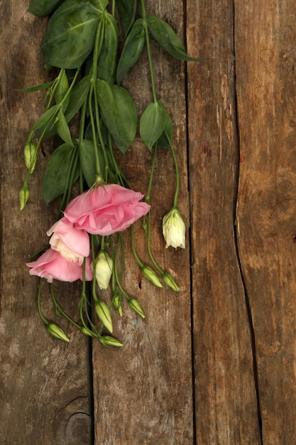 Belle eustoma sur fond de bois