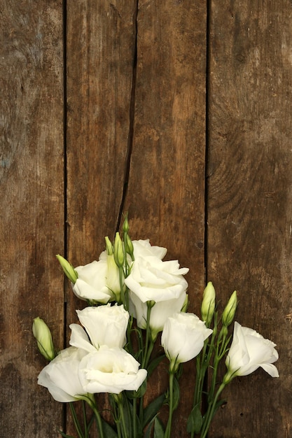 Belle eustoma sur fond de bois