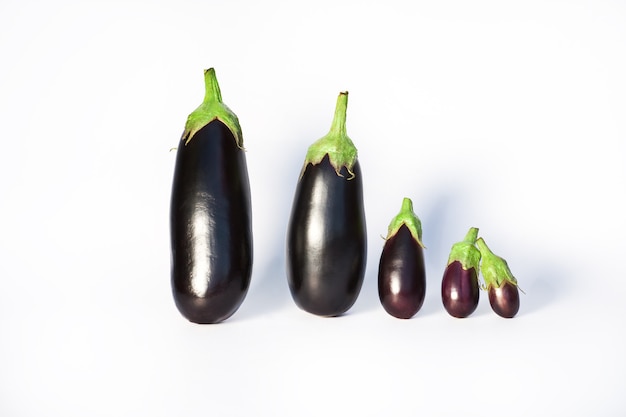 Belle famille d'aubergines sur blanc