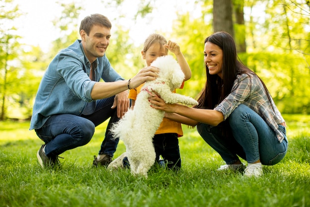 Belle famille heureuse s'amuse avec un chien bichon à l'extérieur dans le parc