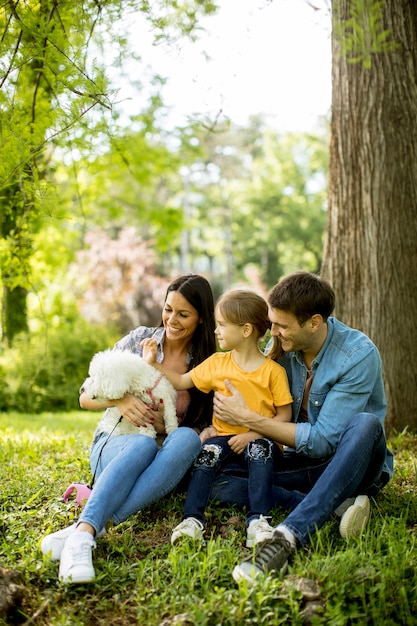 Belle famille heureuse s'amuse avec un chien maltais sous l'arbre à l'extérieur