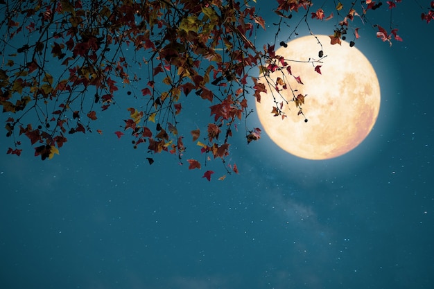 Belle fantaisie d'automne, érable en automne et pleine lune avec étoile. Style rétro avec ton de couleur vintage.