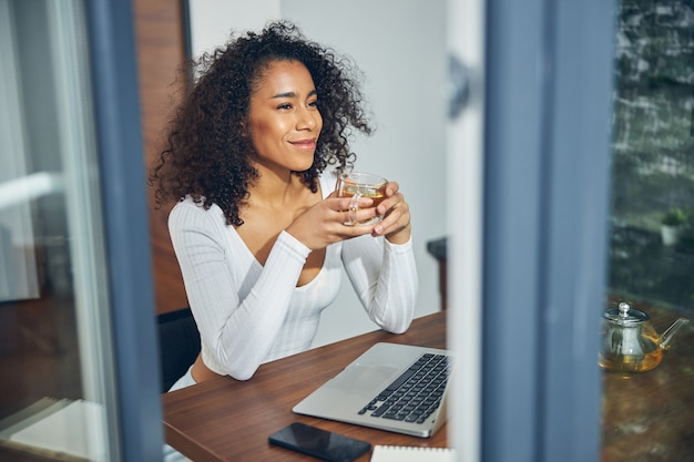 Belle femme afro-américaine assise à la maison près d'un ordinateur portable et appréciant le thé pendant le travail en ligne