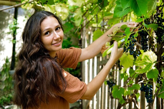 Belle femme avec des ciseaux de jardin coupant des grappes de raisins rouges Concept de récolte d'automne