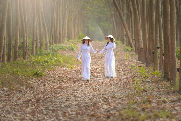 Belle femme avec la robe traditionnelle de culture du Vietnam, costume traditionnel, style vintage, Vietnam