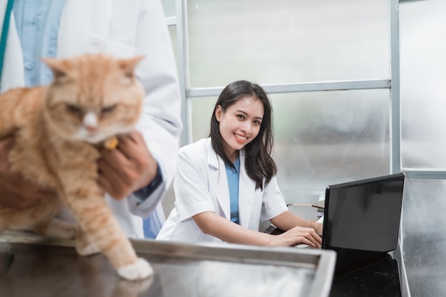 Belle femme vétérinaire asiatique lors de la saisie à l'aide d'un ordinateur portable derrière un vétérinaire masculin examinant les chats à la clinique vétérinaire