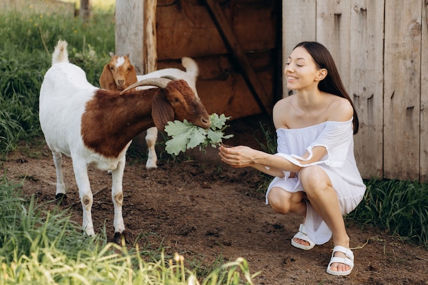 Belle femme vêtue d'une robe blanche nourrit les chèvres et leurs enfants verts dans une ferme écologique.