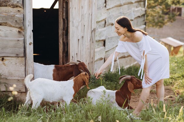 Belle femme vêtue d'une robe blanche nourrit les chèvres et leurs enfants verts dans une ferme écologique.