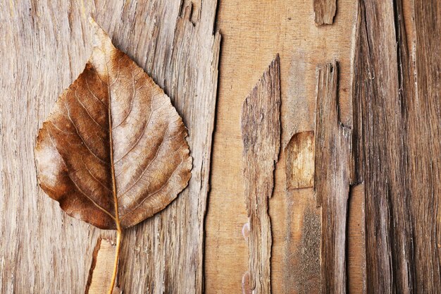 Une belle feuille d'automne sur fond de bois