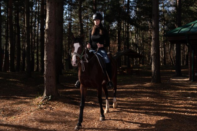 Belle fille assise sur un cheval à l'extérieur