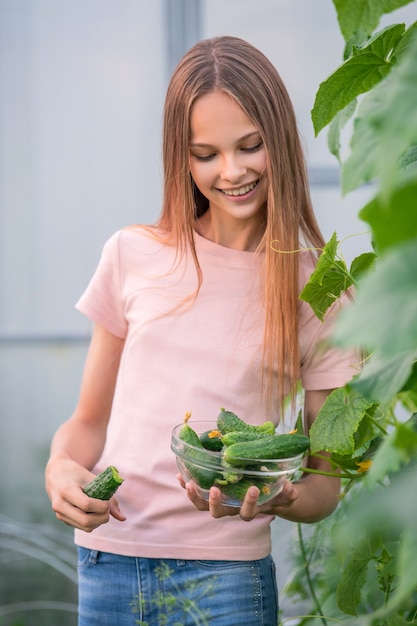 Une belle fille élancée recueille des concombres en été dans une serre. Mange du concombre. Récolte au potager en été