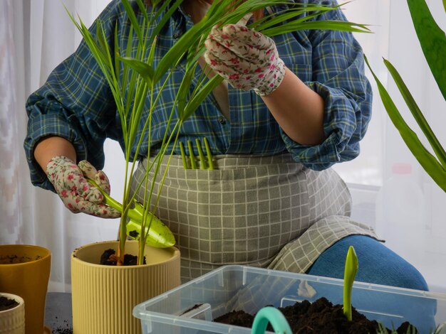 Une belle fille fleuriste transplante des plantes d'intérieur dans de nouveaux pots une fille s'occupe des plantes une femme plante des plantes d'intérieur