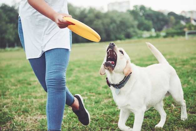 Une belle fille jouant avec son chien bien-aimé dans le parc.