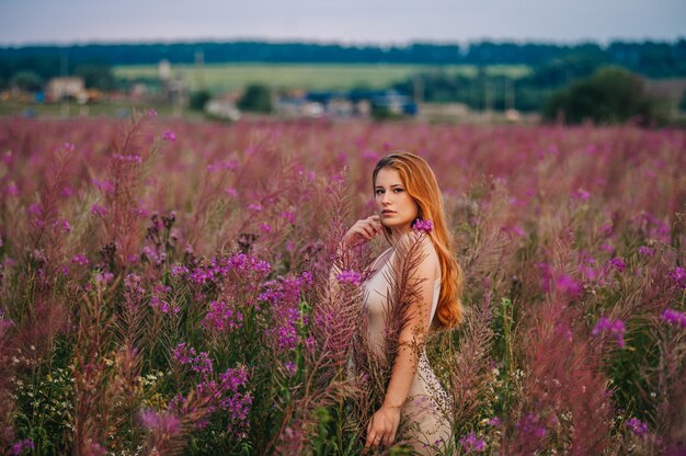 Belle fille rousse vêtue d'une robe dans un champ de fleurs de thé au saule.