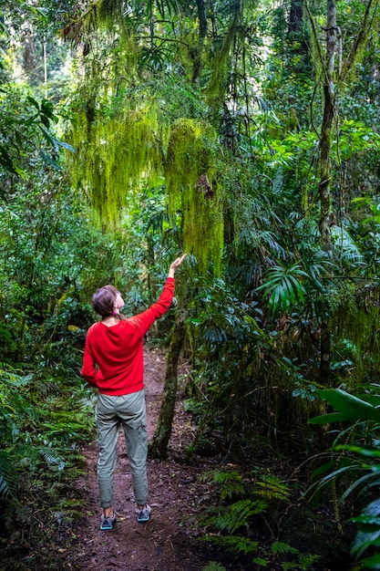 une belle fille se promène dans une forêt tropicale magique dans le parc national de lamington, australie