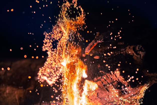 La belle et la flamme lumineuse avec du bois de chauffage