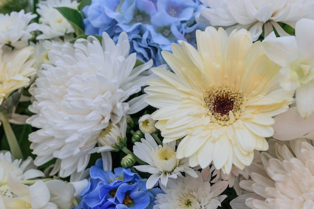 Belle fleur blanche et bleue dans un bouquet, Naturellement belles fleurs dans le jardin