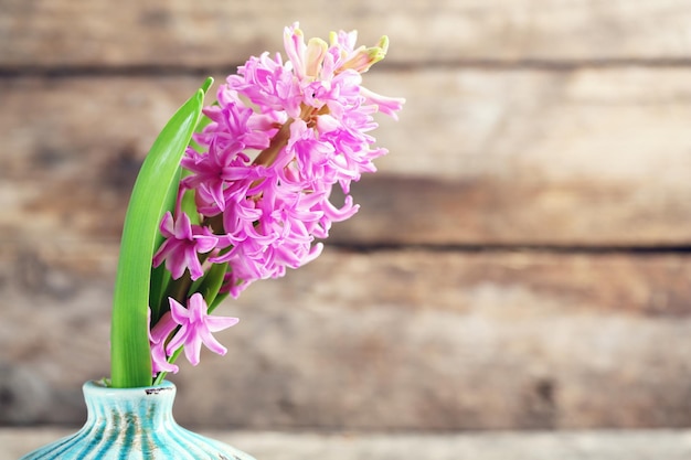 Belle fleur de jacinthe dans un vase sur fond de bois