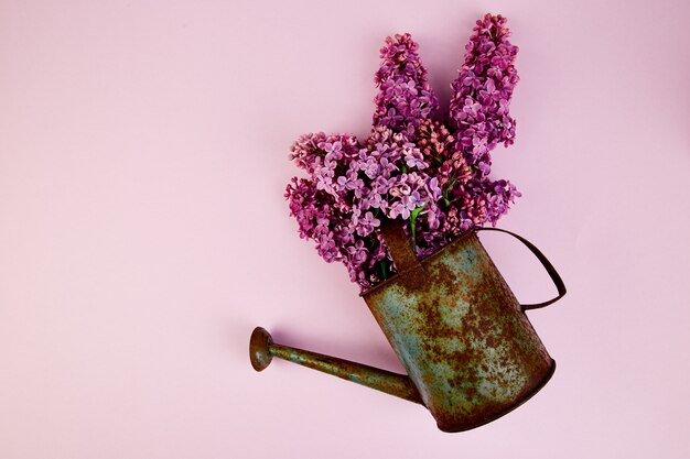 Belle fleur lilas en métal arrosoir