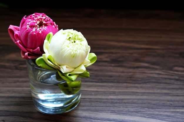 Belle fleur de lotus rose et blanche dans un verre sur la table pour prier bouddha