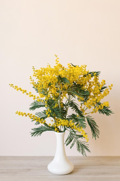 Belle fleur de mimosa jaune fleurit dans un vase en porcelaine blanche au printemps