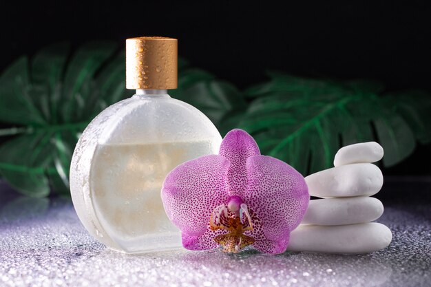 Belle fleur d'orchidée lilas et bouteille transparente d'eau de toilette ou de parfum avec pierres blanches