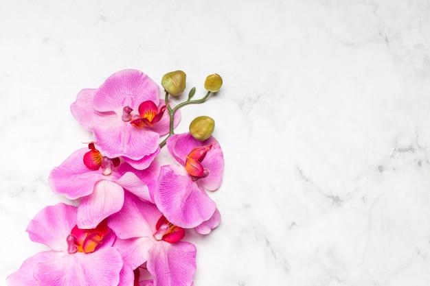 Photo belle fleur d'orchidée sur une surface en marbre