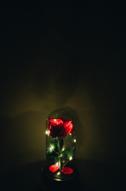 Belle fleur rose dans un flacon en verre avec un cadeau romantique de lumière d'éclairage
