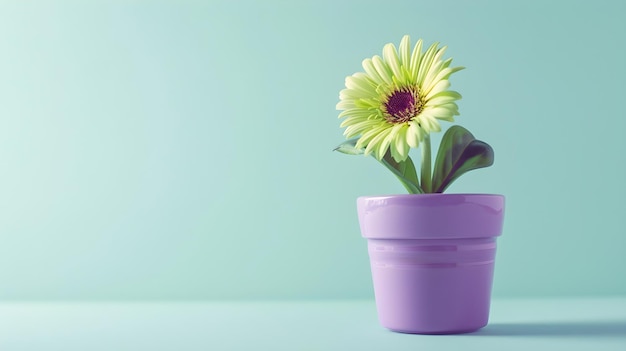 Une belle fleur verte dans un pot en céramique pourpre sur un fond clair