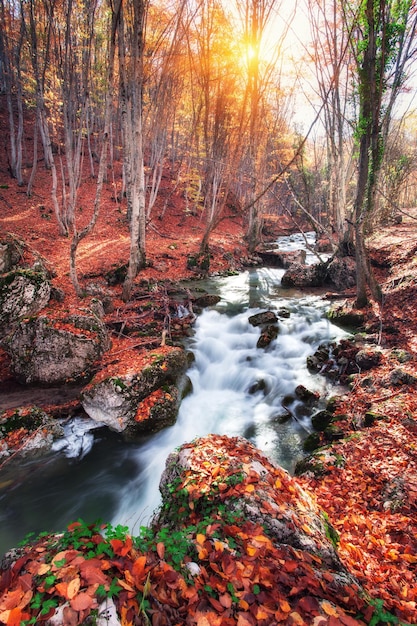 Belle forêt d'automne avec rivière dans les montagnes de Crimée au coucher du soleil