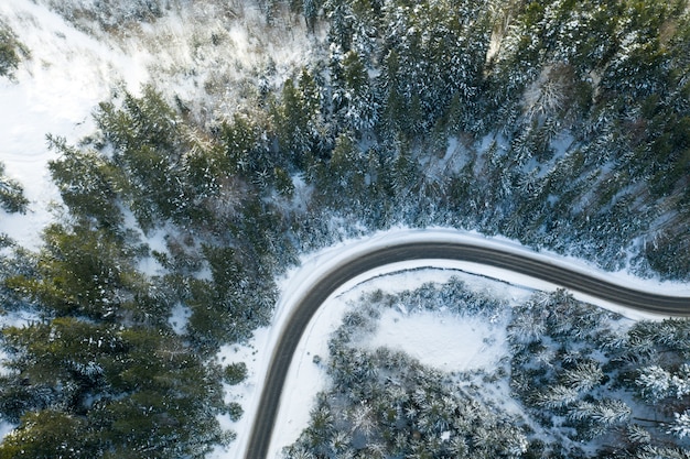 Belle forêt d'hiver et la route