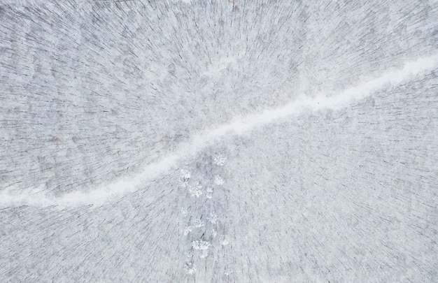 Belle forêt d'hiver et la route