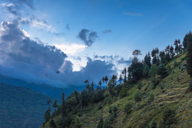 Belle forêt, Manali