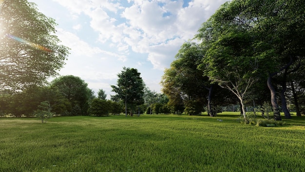 Belle forêt naturelle verte et calme rendue en 3D