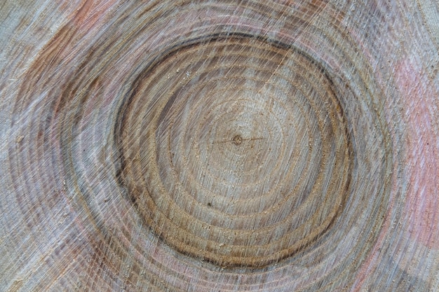 Belle fracture en bois vieux chêne texture naturelle de près texture constituée d'une vieille surface fracture en bois chêne texture rayée fracture en bois vieux chêne décoratif tabby pour fond de papier peint