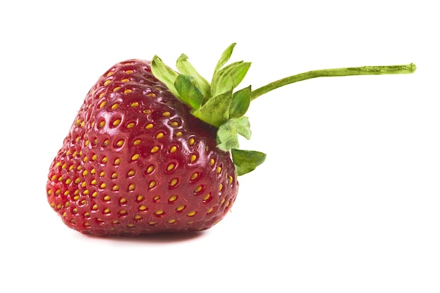 Belle fraise rouge sur fond blanc photo de haute qualité