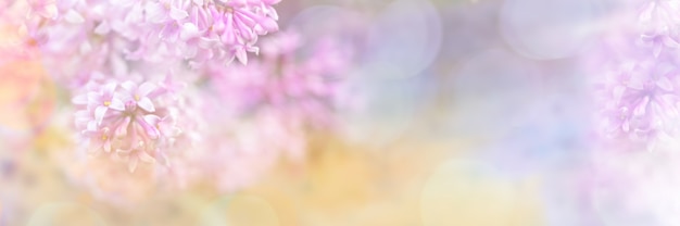 Belle frontière de conception jaune-rose floue de fleurs lilas avec bokeh pour invitation ou carte de voeux. Gros plan des branches lilas floue. Flou artistique. Copiez l'espace pour le texte. Large bannière.