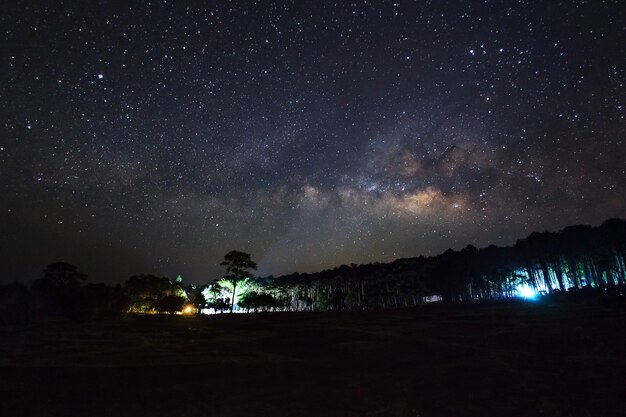 Belle galaxie de la voie lactée sur un ciel nocturne et silhouette d'arbre