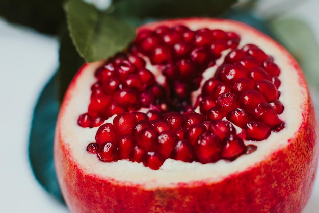 Belle grenade rouge en verdure