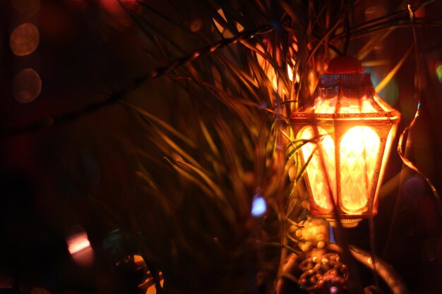 Belle guirlande sur l'arbre de Noël se bouchent