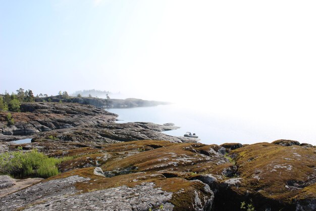 Une belle île au milieu du lac Plantes et rochers