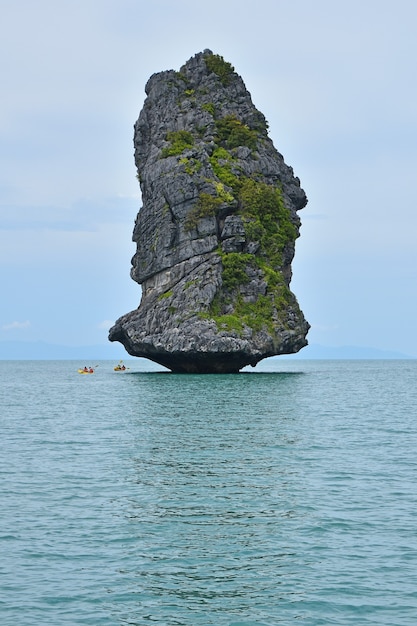 Belle île rocheuse au parc marin national d'Ang Thong de Thaïlande