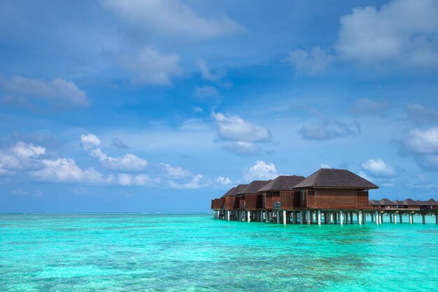 Belle île tropicale des Maldives avec plage. Bungalows mer avec eau