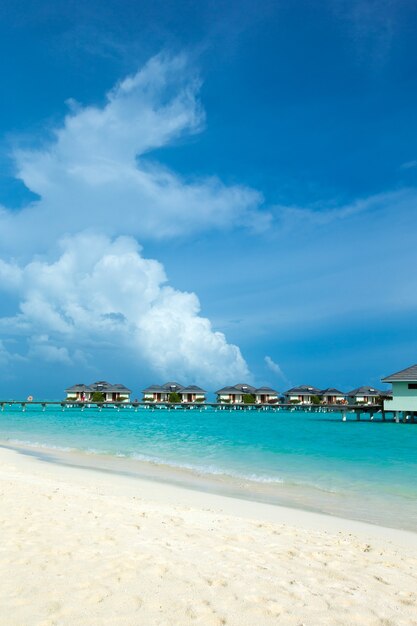 Belle île tropicale des Maldives avec plage. Mer avec bungalows sur pilotis